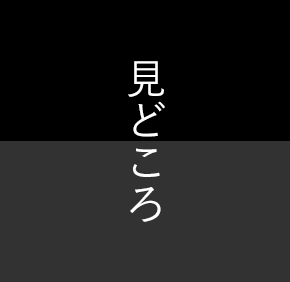 見どころ