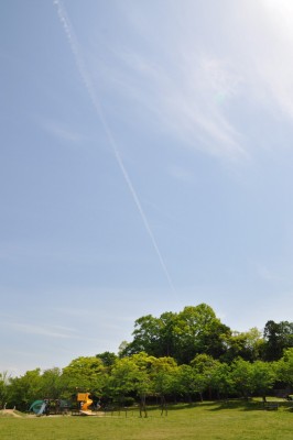 sIMG_6817