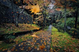 霊山寺