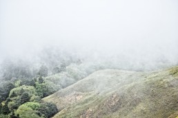 若草山雲海