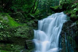 鶯の滝１