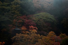 D4Y_5093談山神社の紅葉
