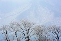 葛城高原１