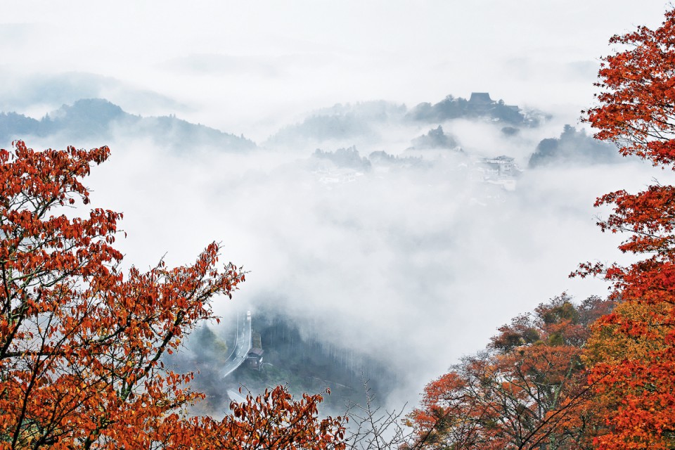 吉野山雲海と紅葉