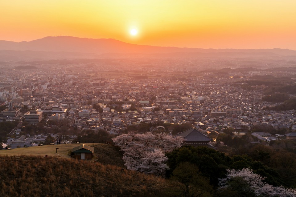 R2_05630D桜と大仏殿