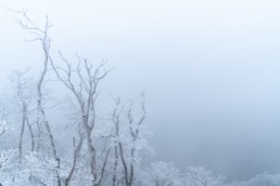 高見山