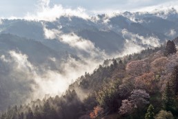 73_01672吉野山