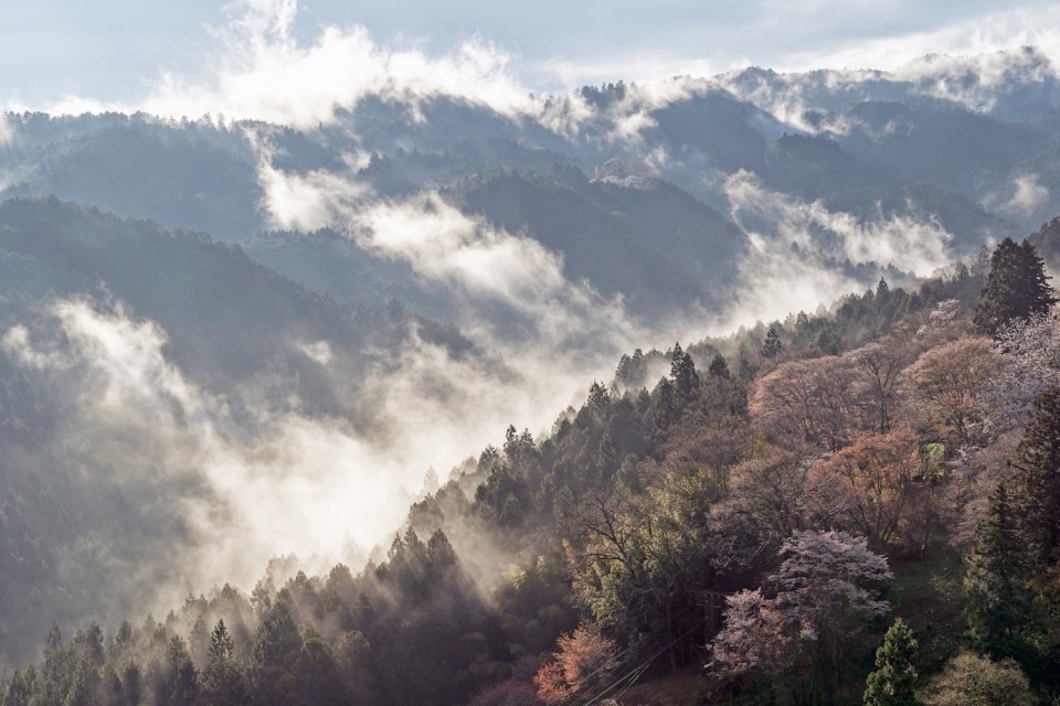 73_01672吉野山